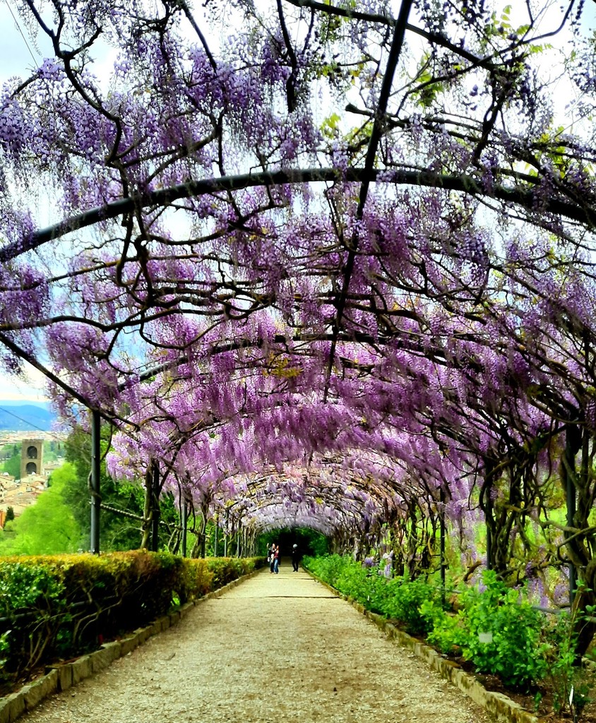 Giardino Bardini (Source: Google Maps)