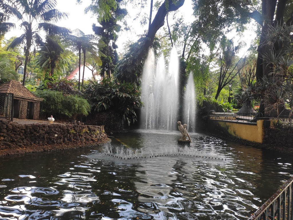 Jardim Municipal do Funchal (Source: Google Maps)