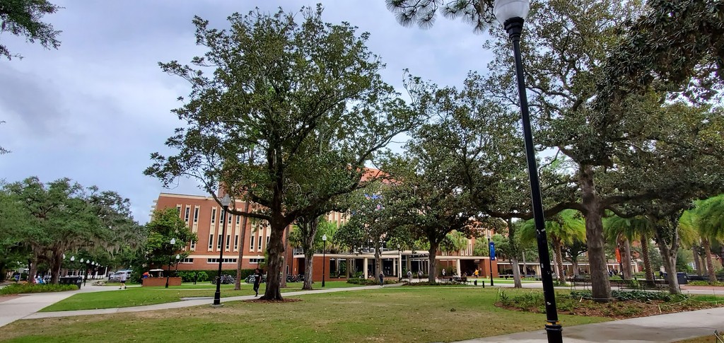 University of Florida Campus (Plaza of the Americas) (Source: Google Maps)