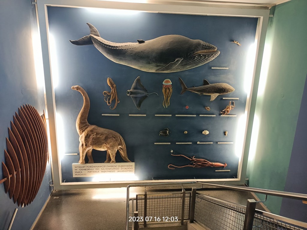 Gdynia Aquarium (Akwarium Gdyńskie) (Source: Google Maps)