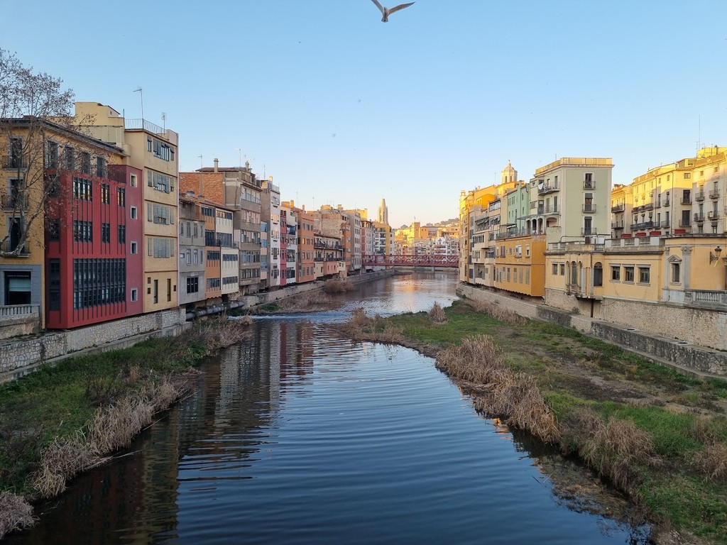 Pont de Pedra (Source: Google Maps)