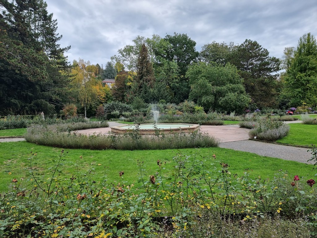 Pfühlpark (Source: Google Maps)