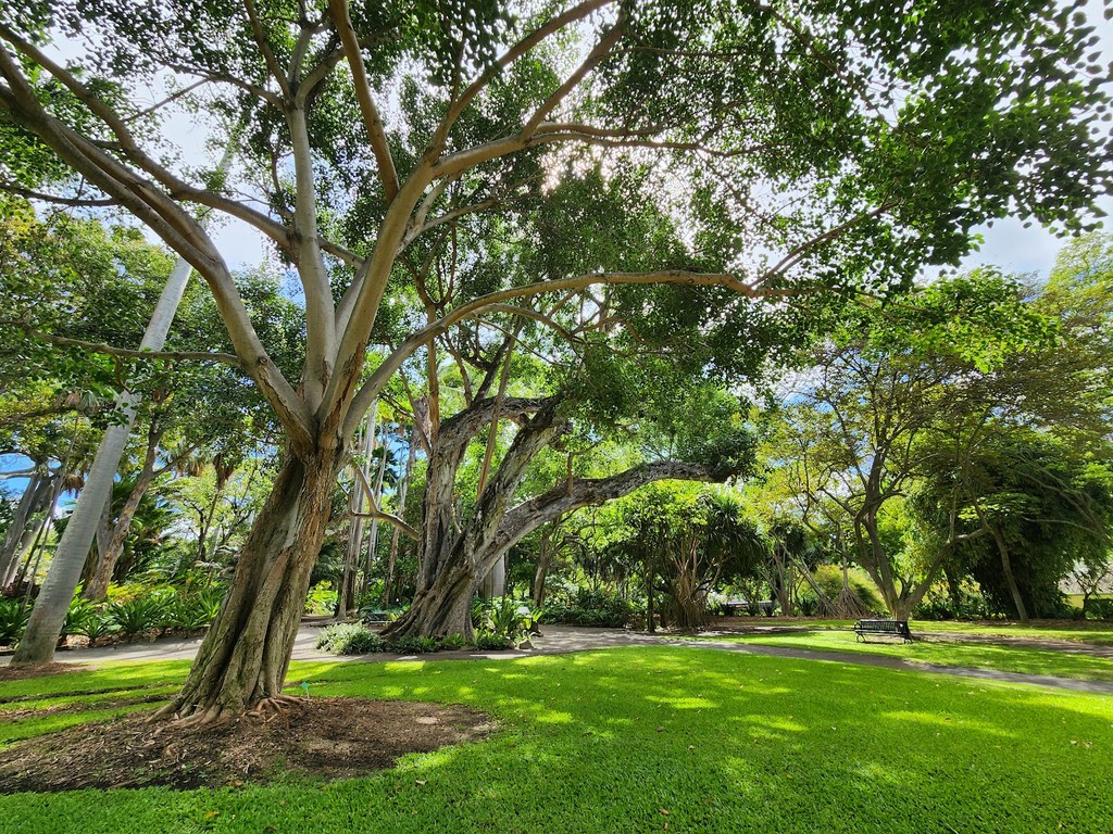 Foster Botanical Garden (Source: Google Maps)