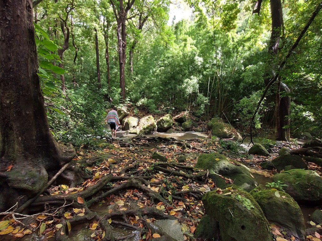 Judd Trail (Source: Google Maps)