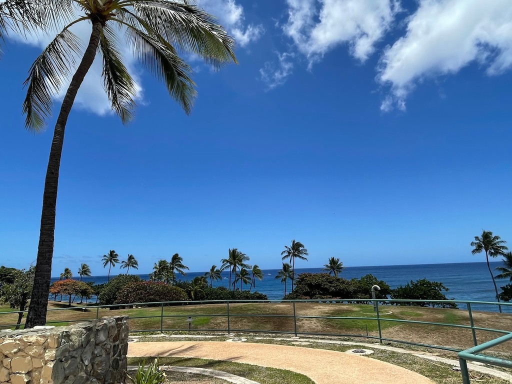 Kaka'ako Waterfront Park (Source: Google Maps)