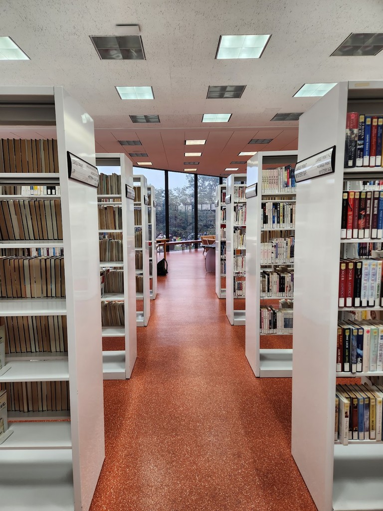 Houston Public Library - Central Library (Source: Google Maps)