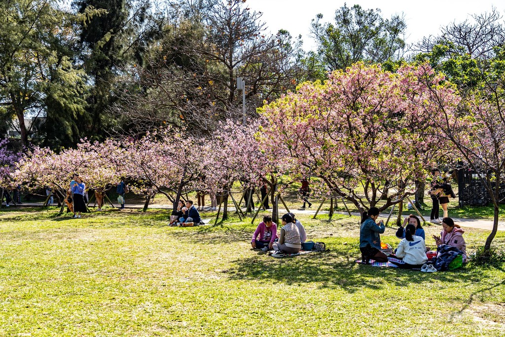 Hsinchu Park (Source: Google Maps)