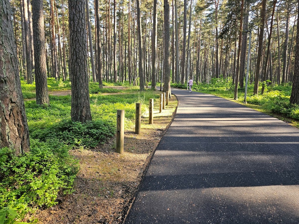 Dzintari Forest Park (Source: Google Maps)