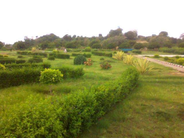 Karachi University Botanical Garden (Source: Google Maps)