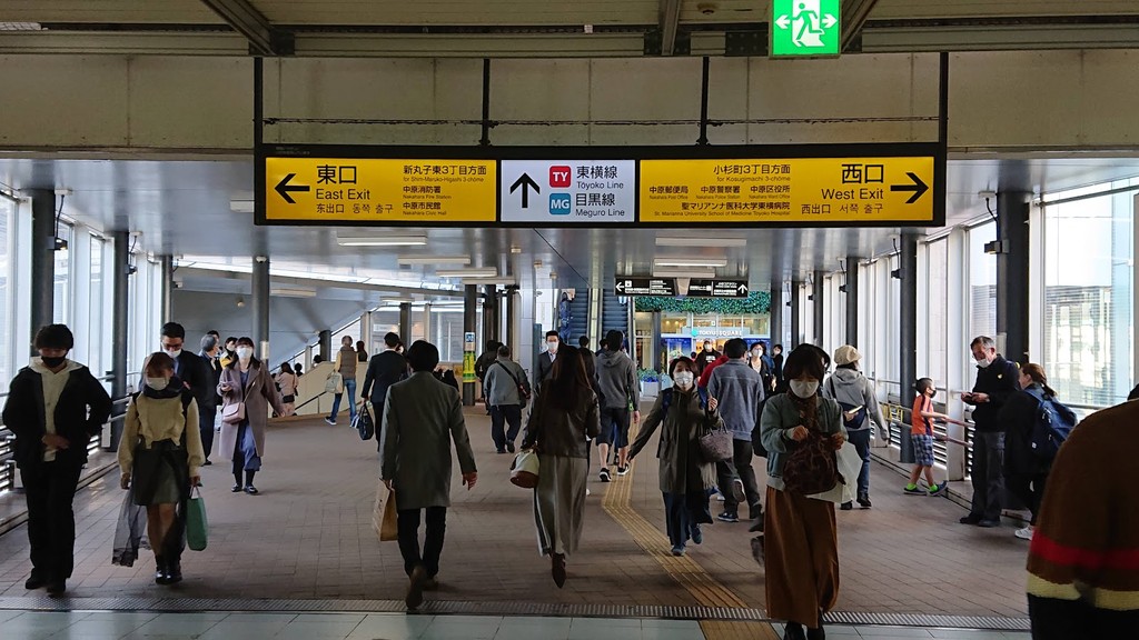 Musashi-Kosugi Station (Source: Google Maps)