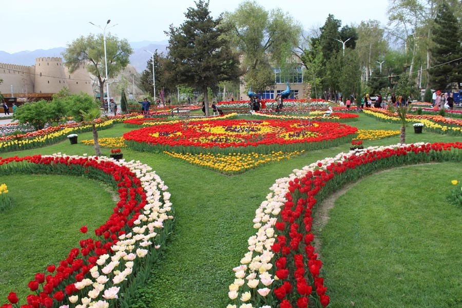 Khujand Central Park (Source: Google Maps)