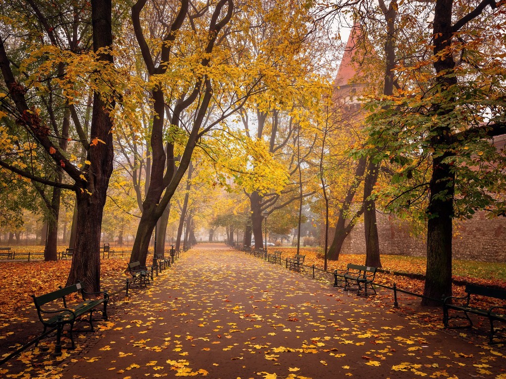 Planty Park (Source: Google Maps)