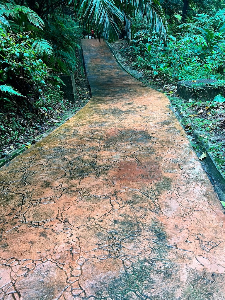 Bukit Nanas Forest Reserve (Source: Google Maps)