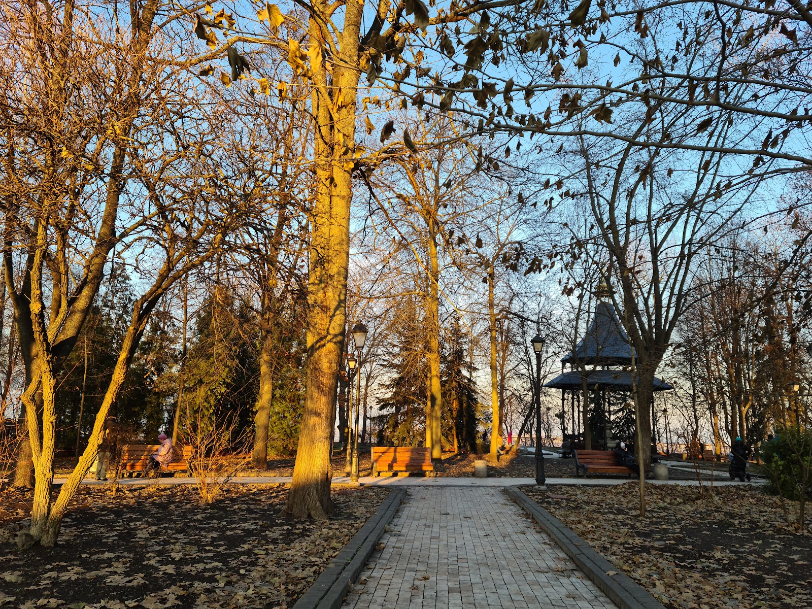 Mariinsky Park (Source: Google Maps)