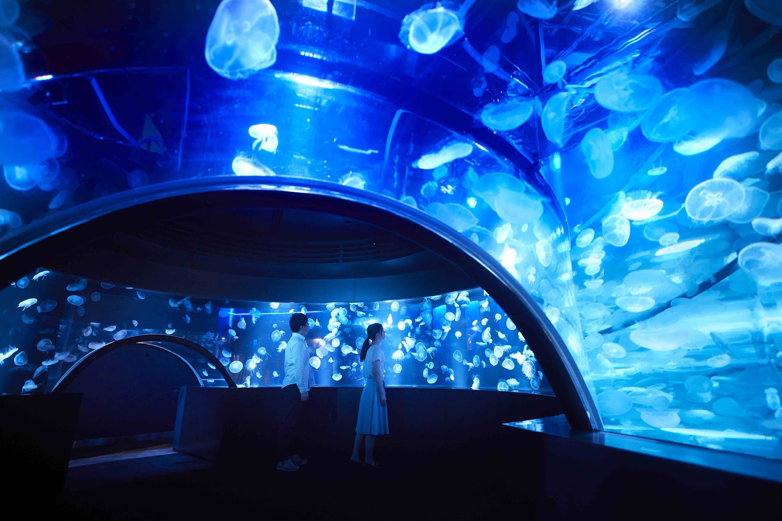 Kyoto Aquarium (Source: Google Maps)