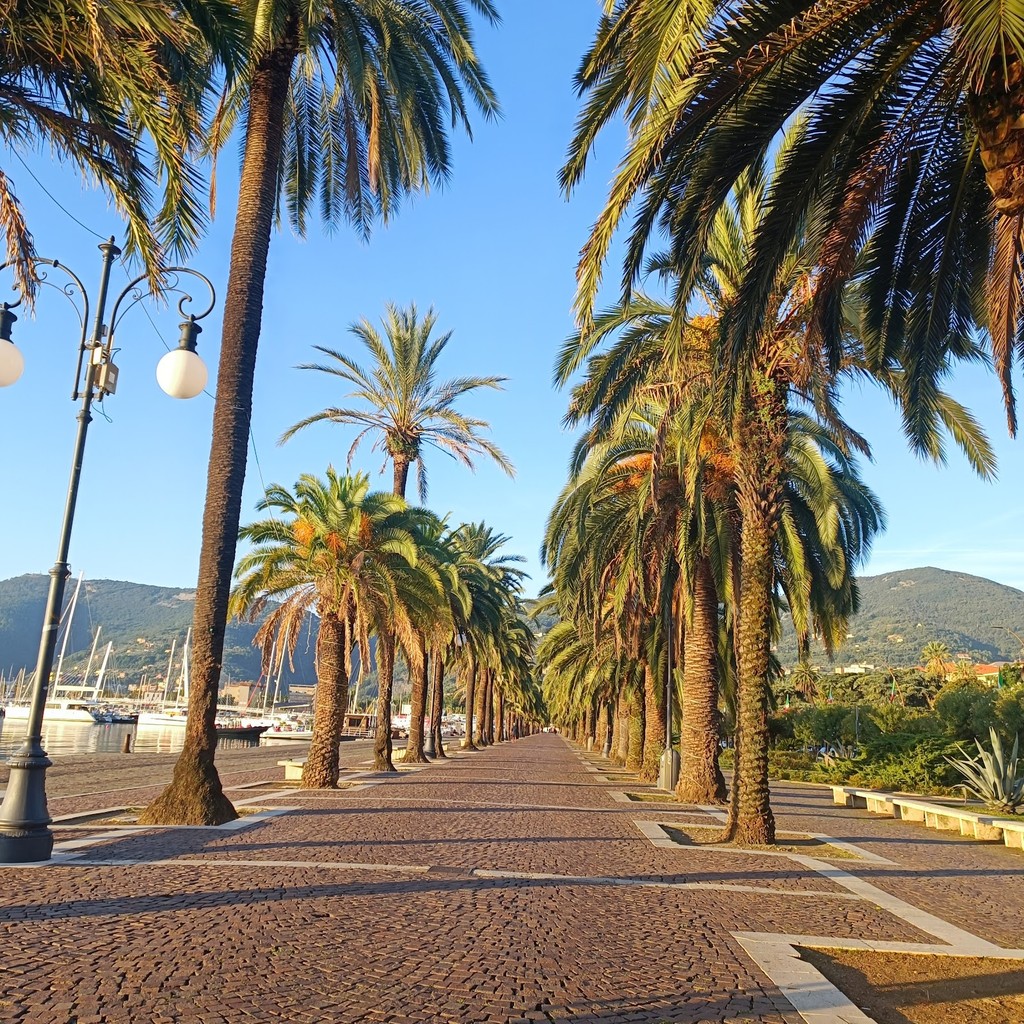 La Spezia Harbor (Source: Google Maps)