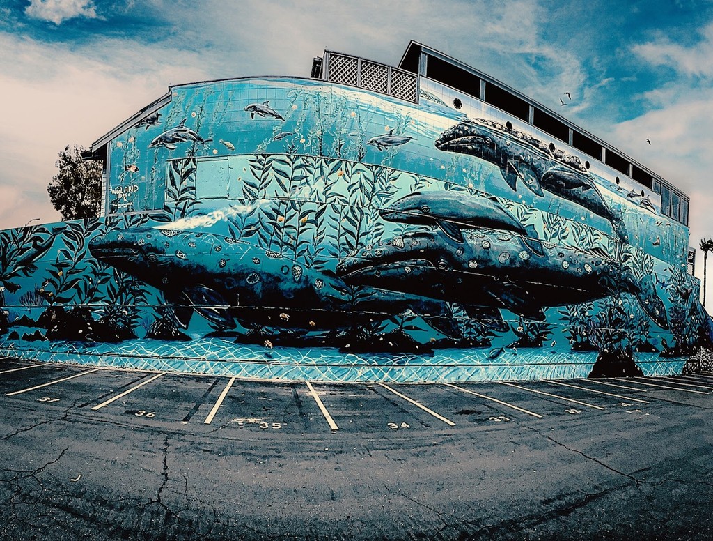 Wyland Galleries (Source: Google Maps)