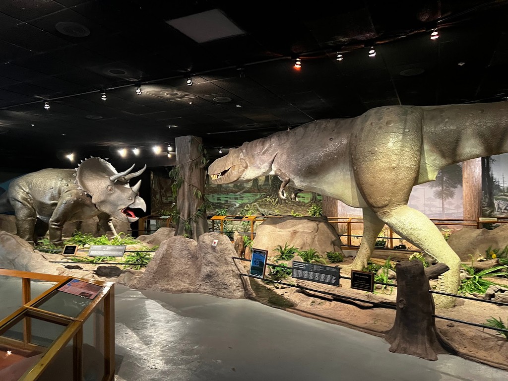 Las Vegas Natural History Museum (Source: Google Maps)
