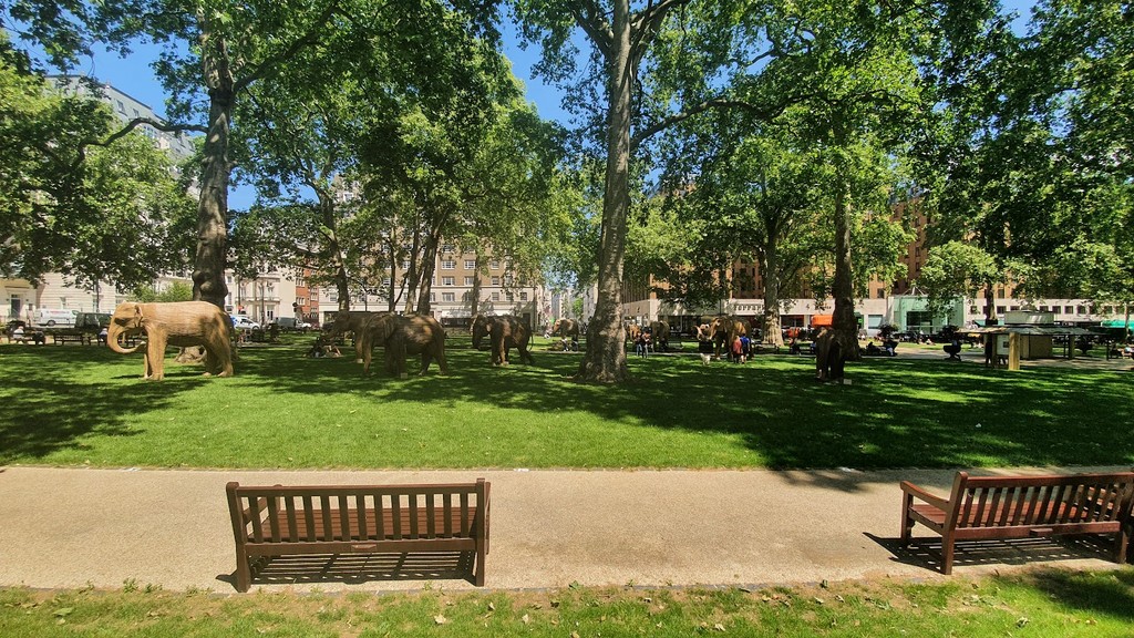 Berkeley Square (Source: Google Maps)
