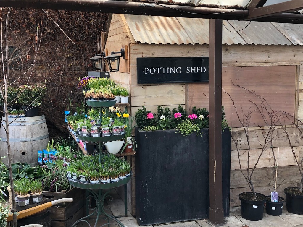 Clifton Nurseries (Source: Google Maps)