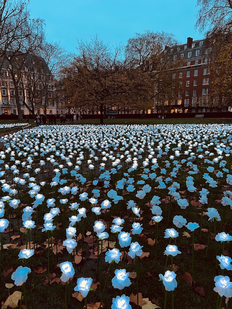Grosvenor Square (Source: Google Maps)