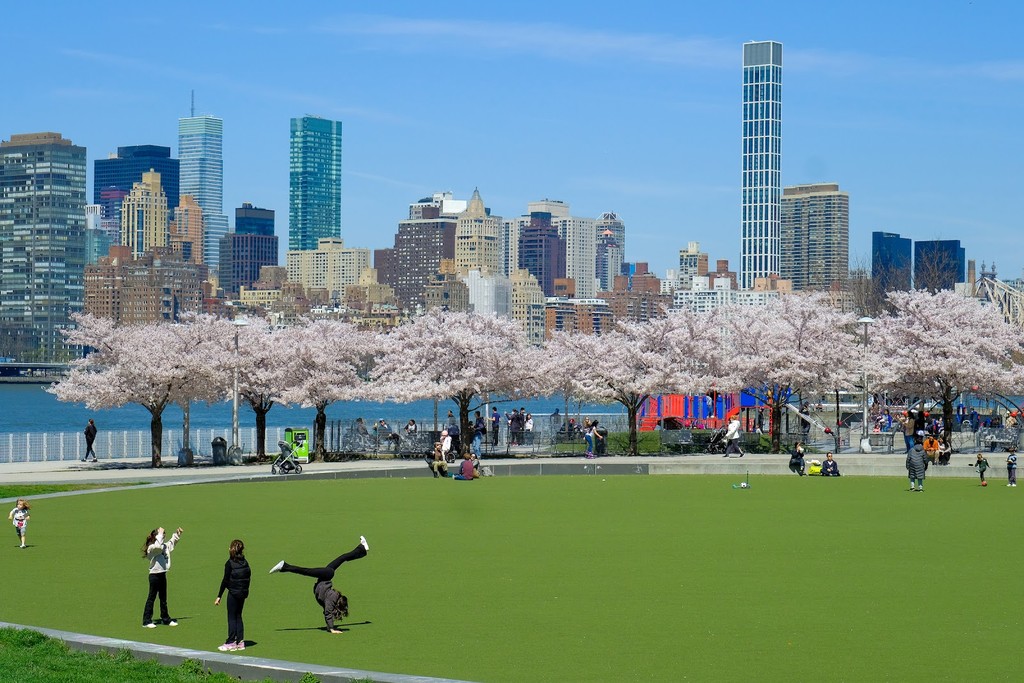 Hunter's Point South Park (Source: Google Maps)