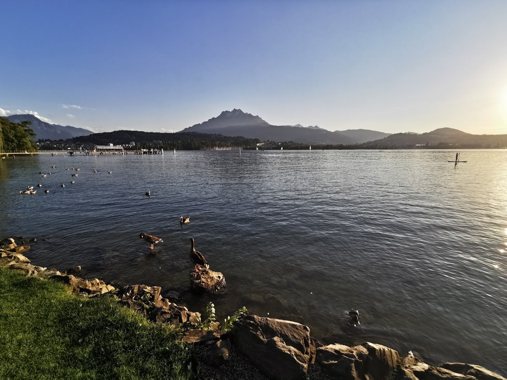 Seebad Luzern (Source: Google Maps)