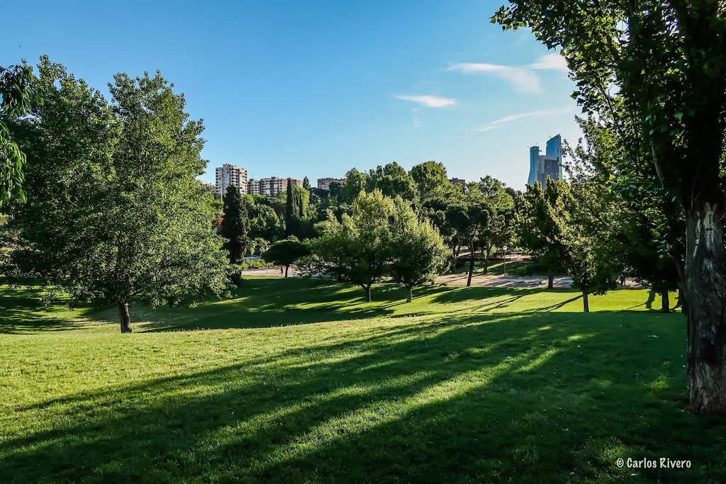 Parque Rodríguez Sahagún (Source: Google Maps)