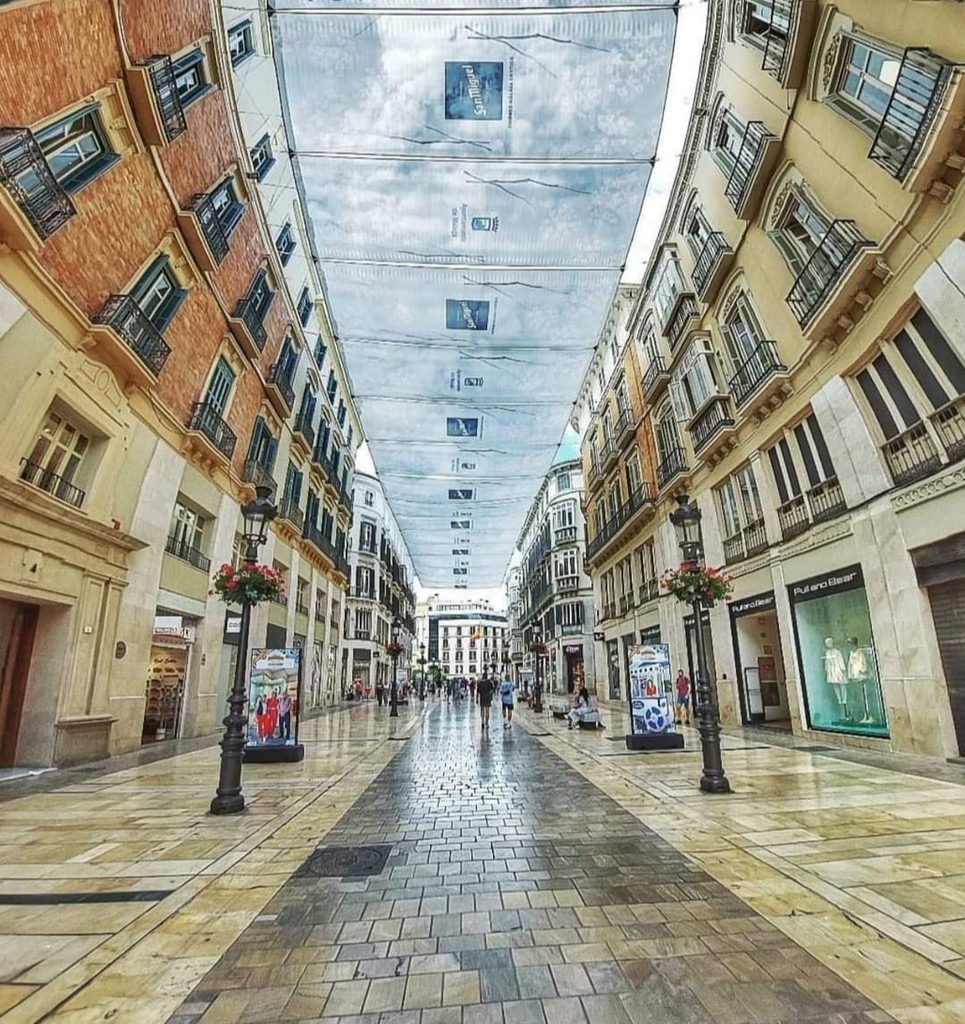 Calle Larios (Source: Google Maps)