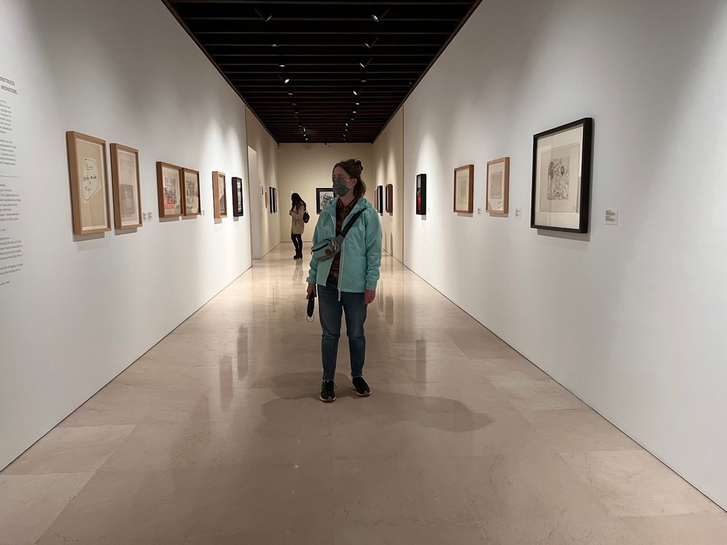 Picasso Museum Málaga (Source: Google Maps)