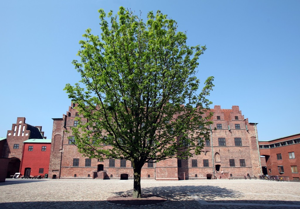 Malmöhus Castle (Source: Google Maps)