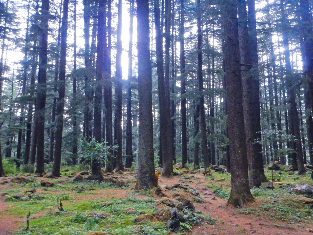 Manali Nature Park (Source: Google Maps)