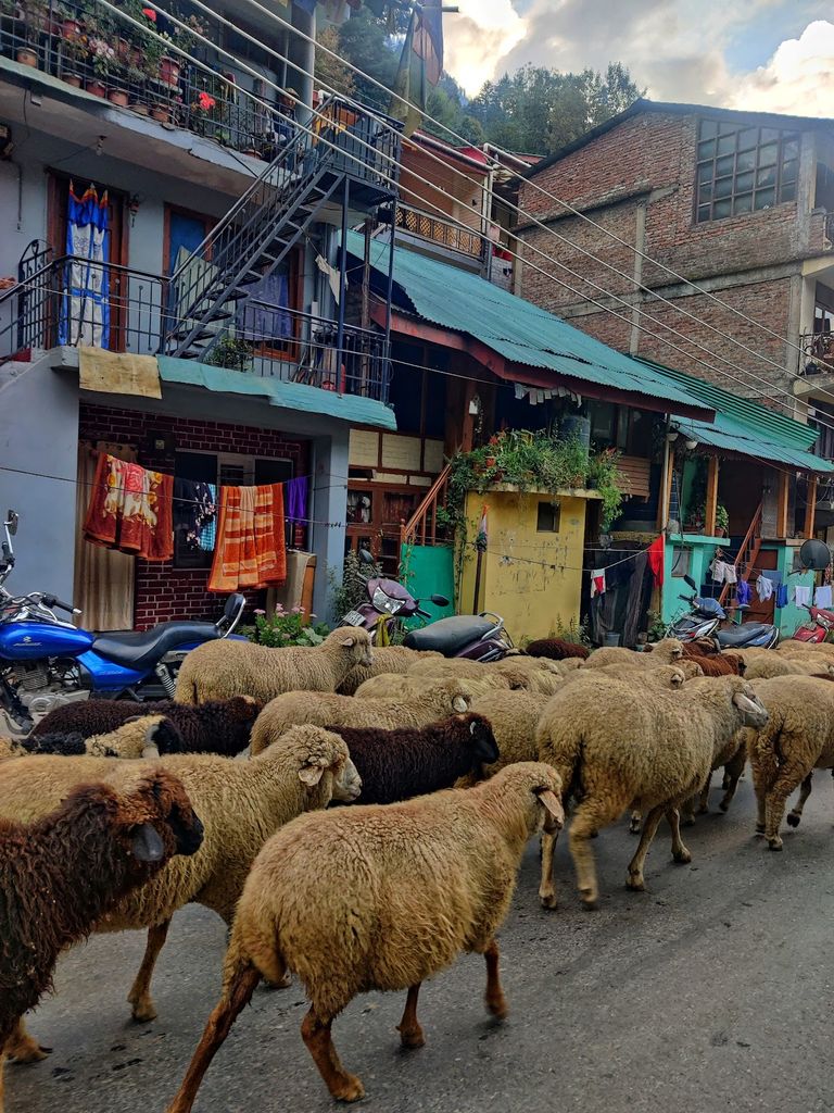 Old Manali (Source: Google Maps)