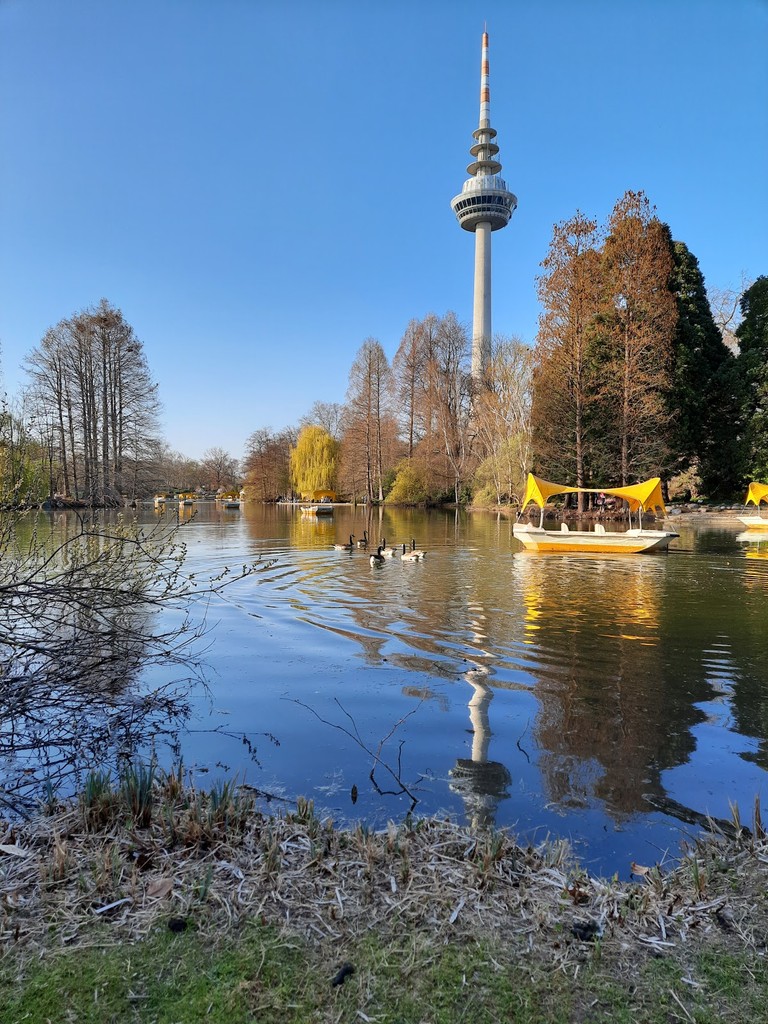 Luisenpark (Source: Google Maps)