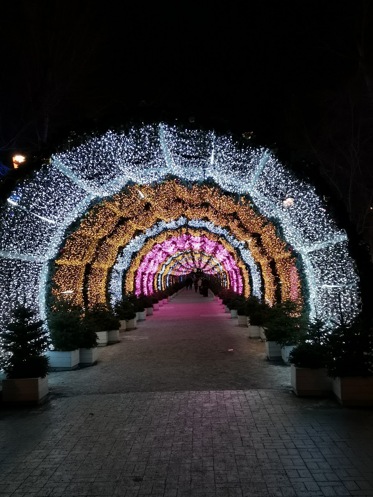 Pushkin Square (Source: Google Maps)