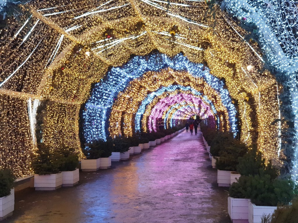 Tverskoy Boulevard (Source: Google Maps)