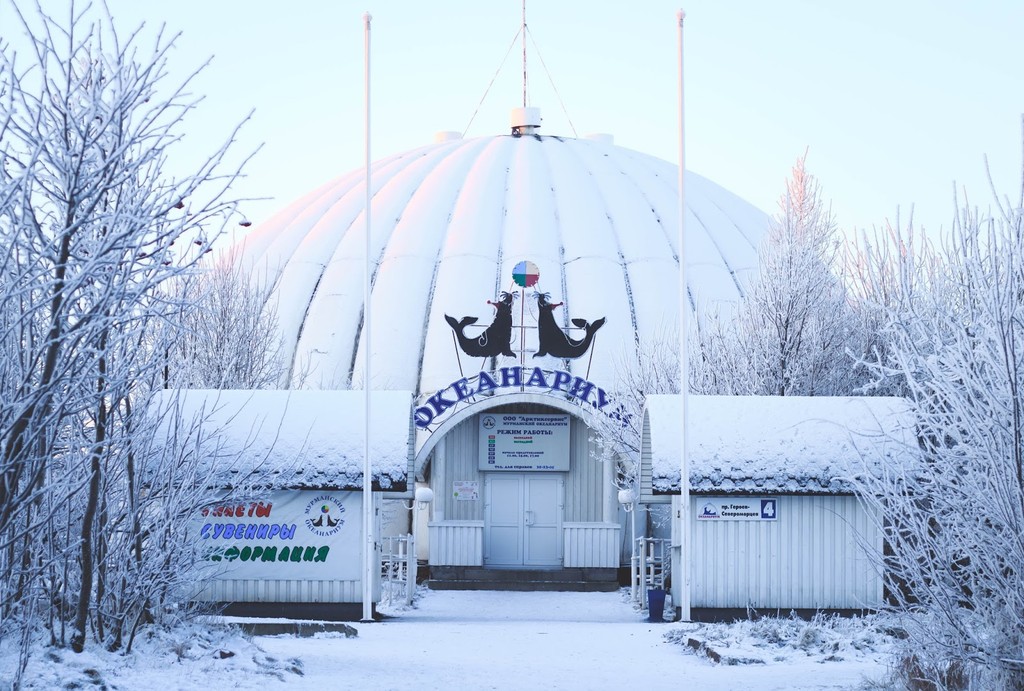 Murmansk Oceanarium (Source: Google Maps)