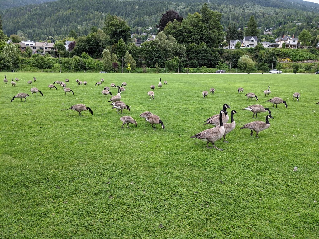 Lakeside Park (Source: Google Maps)