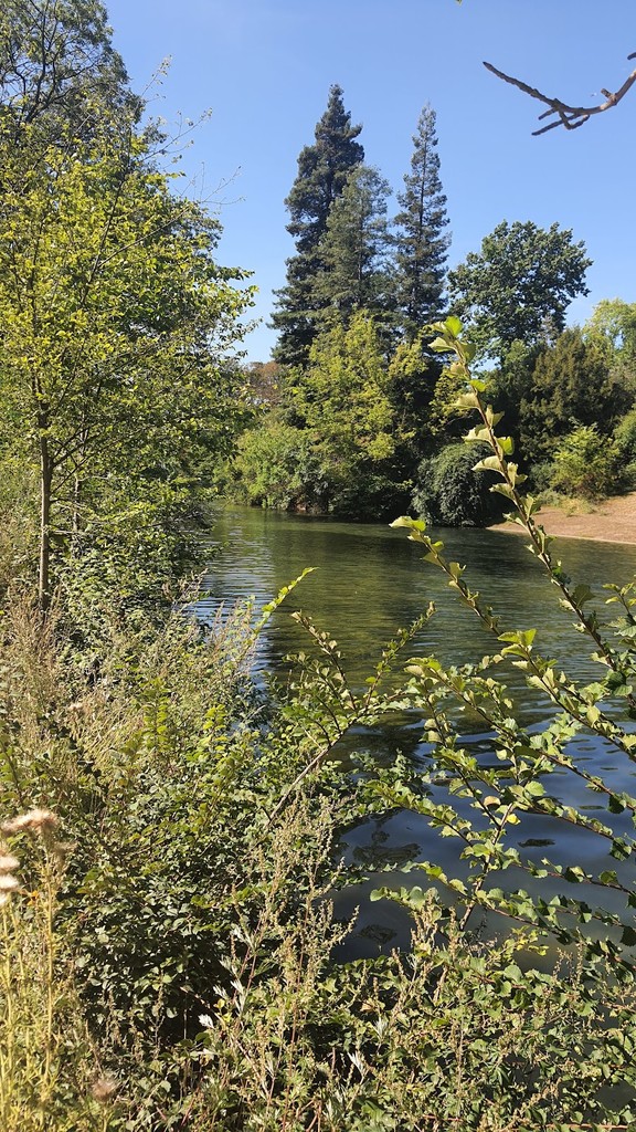 Bois de Boulogne (Source: Google Maps)