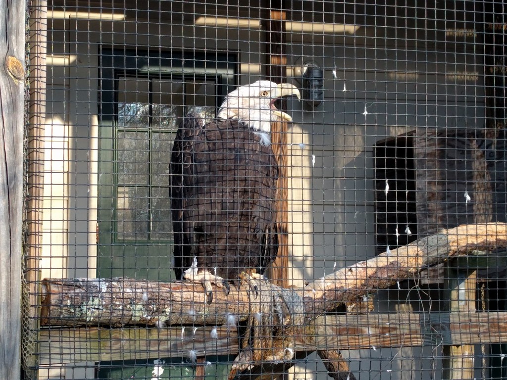 New Canaan Nature Center (Source: Google Maps)