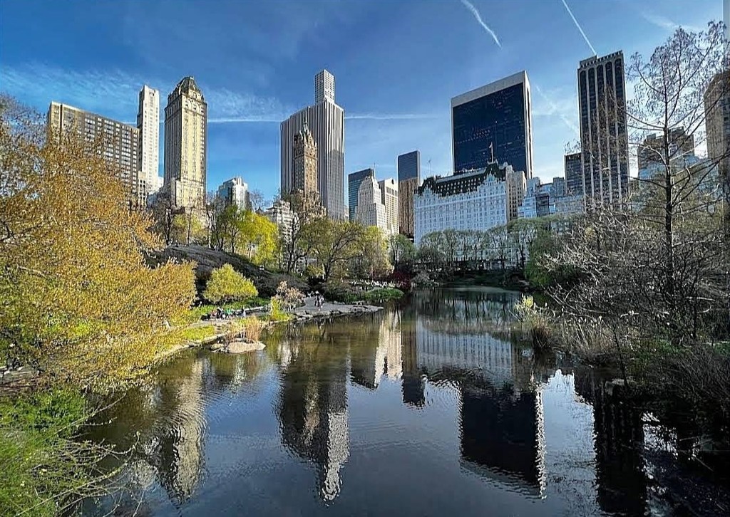 Central Park (South Entrance) (Source: Google Maps)