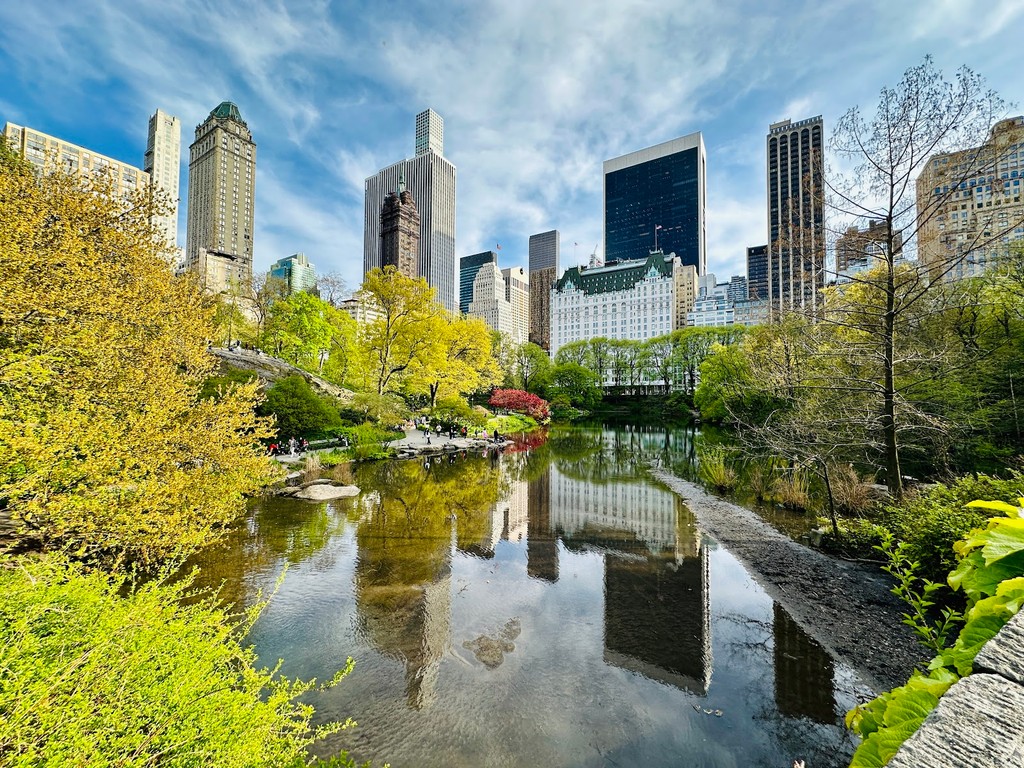 Central Park - The Pond (Source: Google Maps)