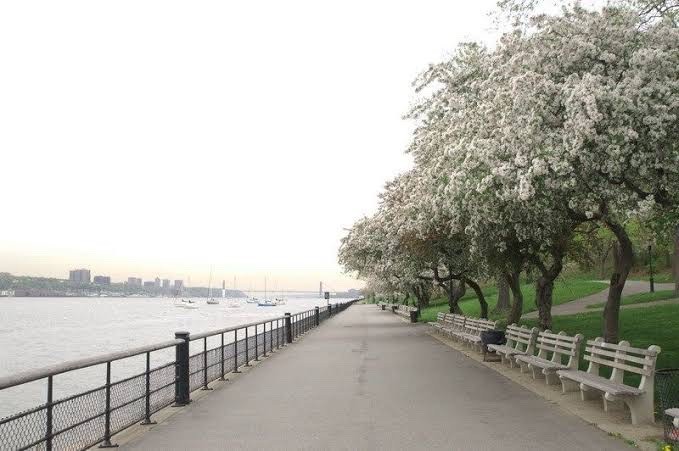 Riverside Park (Source: Google Maps)