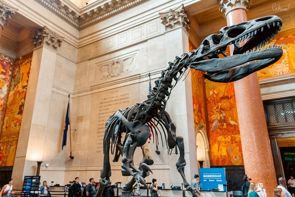 The American Museum of Natural History (Source: Google Maps)