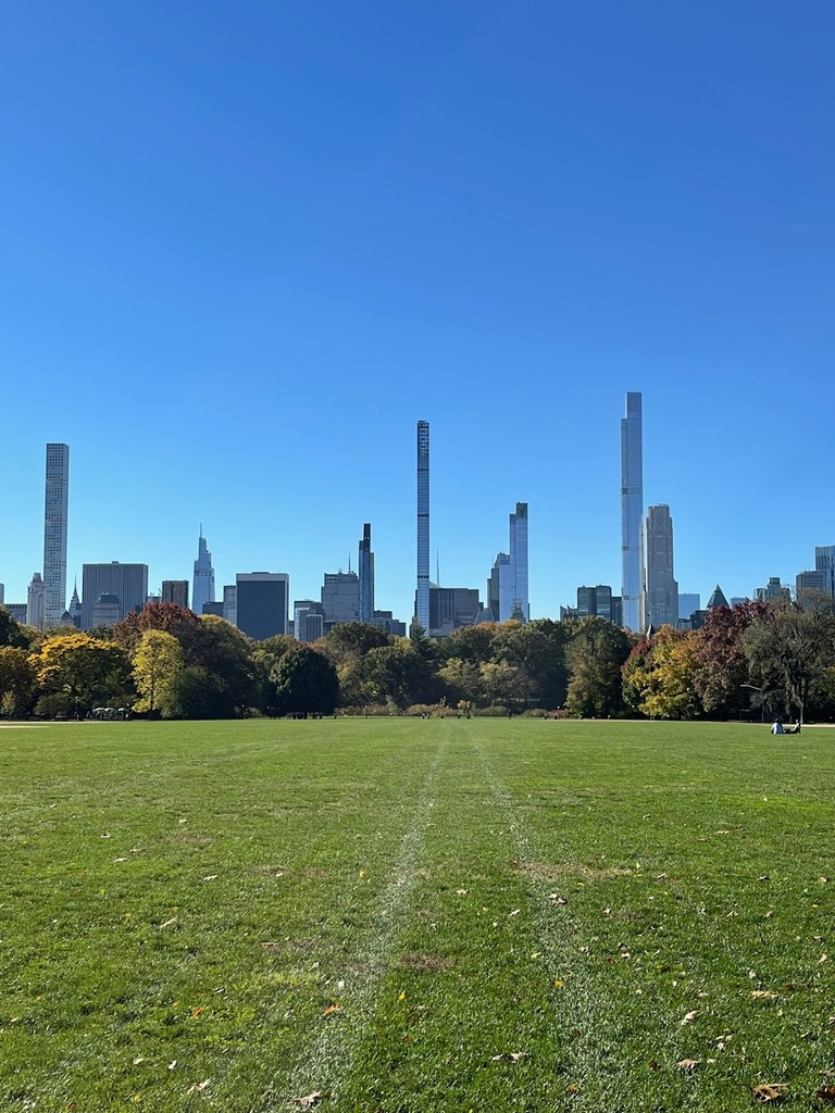 The Great Lawn (Source: Google Maps)
