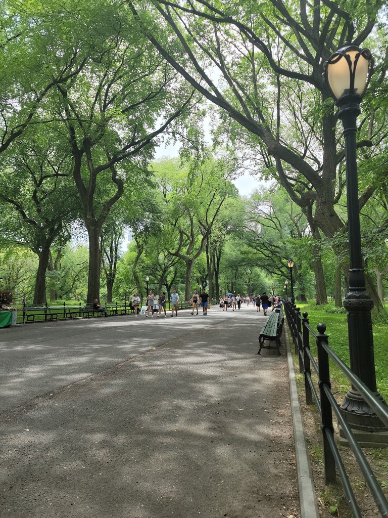 The Mall and Literary Walk (Source: Google Maps)