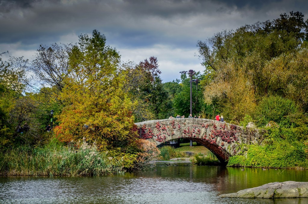 The Pond and Gapstow Bridge (Source: Google Maps)