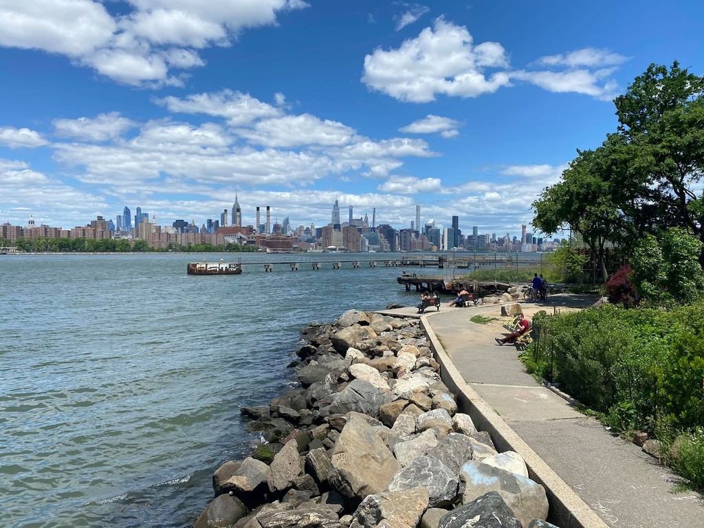 Williamsburg Bridge Viewpoint (Source: Google Maps)