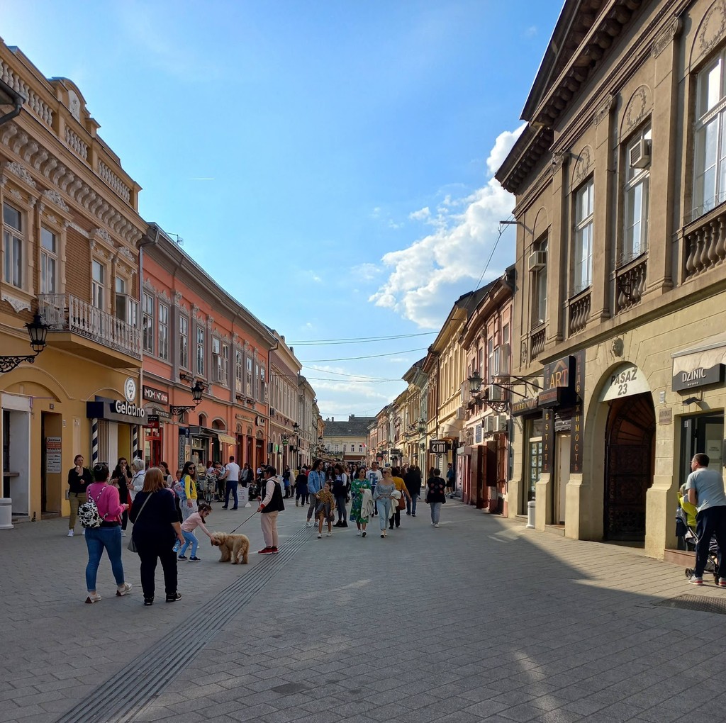 Dunavska Street (Source: Google Maps)