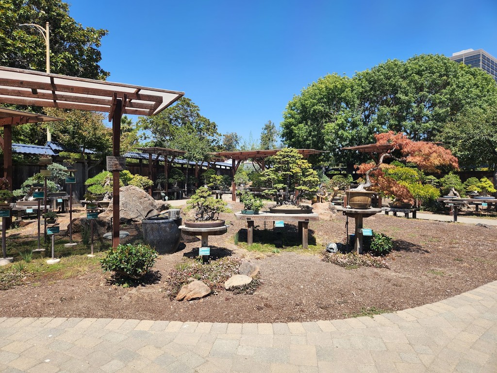 Bonsai Garden at Lake Merritt (Source: Google Maps)